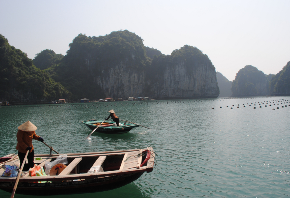Destination Asien Fluss 1 Webbild