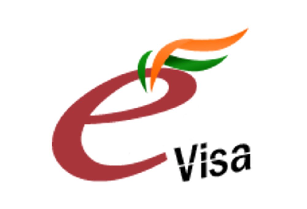 e visa web